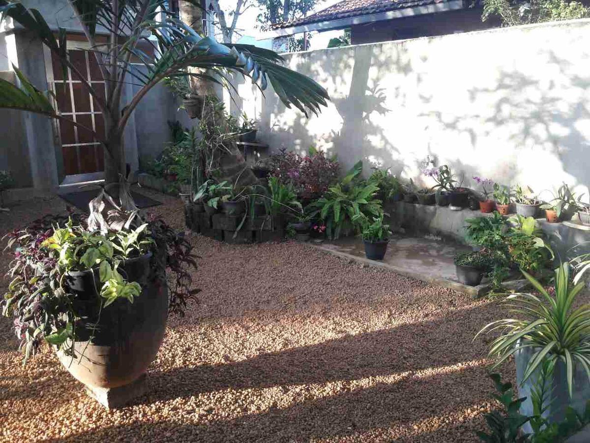 Dedunu Home Bentota Dış mekan fotoğraf